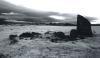carmanmuir4.jpg
