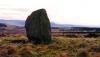 sherrifmuir3c.jpg