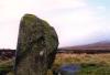 sherrifmuir4c.jpg