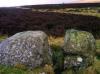 sherrifmuir5c.jpg