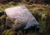 sherrifmuir6c.jpg