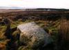sherrifmuir7c.jpg
